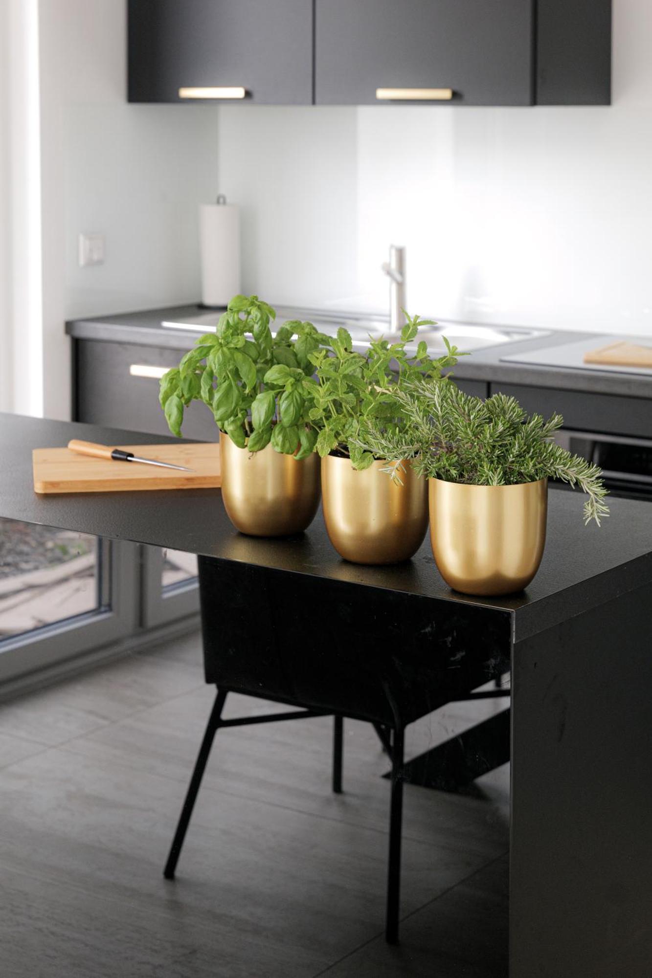 Lulex IV - Traumwohnung Terasse Garten In Neuss Bagian luar foto