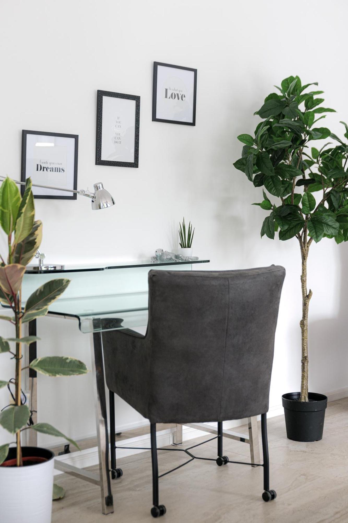 Lulex IV - Traumwohnung Terasse Garten In Neuss Bagian luar foto
